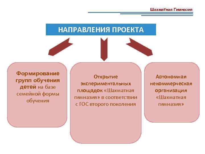 Шахматная Гимназия НАПРАВЛЕНИЯ ПРОЕКТА Формирование групп обучения детей на базе семейной формы обучения Открытие