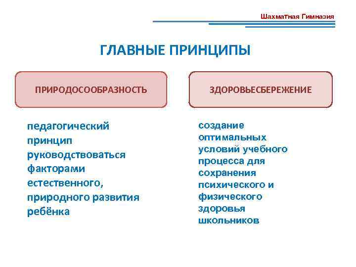 Шахматная Гимназия ГЛАВНЫЕ ПРИНЦИПЫ ПРИРОДОСООБРАЗНОСТЬ педагогический принцип руководствоваться факторами естественного, природного развития ребёнка ЗДОРОВЬЕСБЕРЕЖЕНИЕ