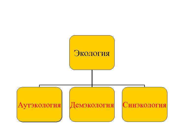 Экология Аутэкология Демэкология Синэкология 