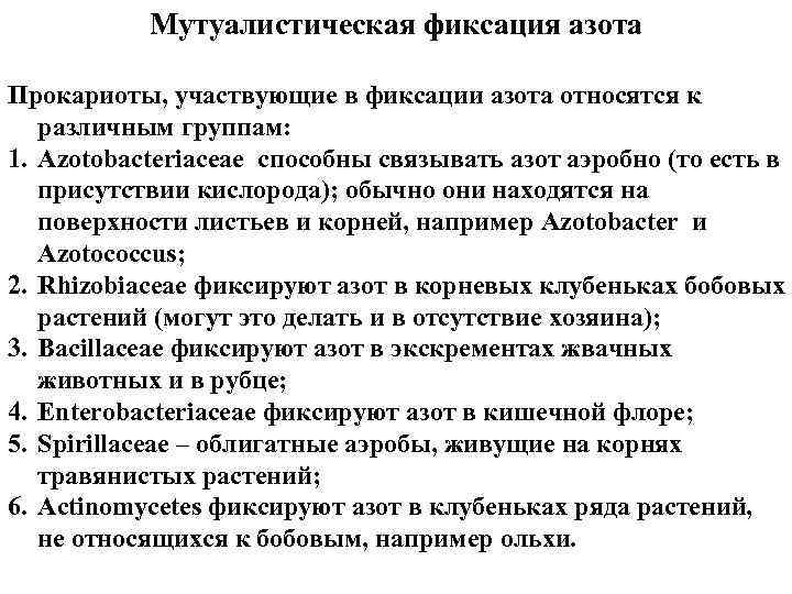 Мутуалистическая фиксация азота Прокариоты, участвующие в фиксации азота относятся к различным группам: 1. Azotobacteriaceae