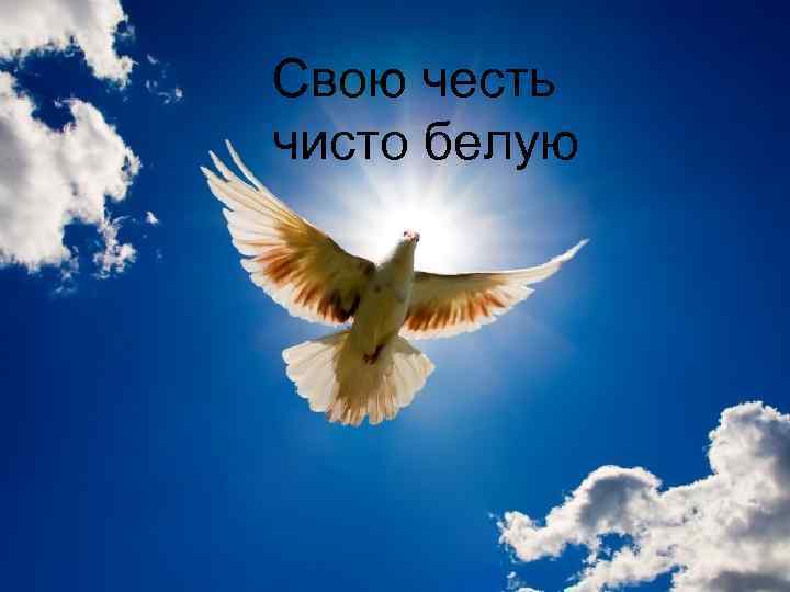 Свою честь чисто белую 