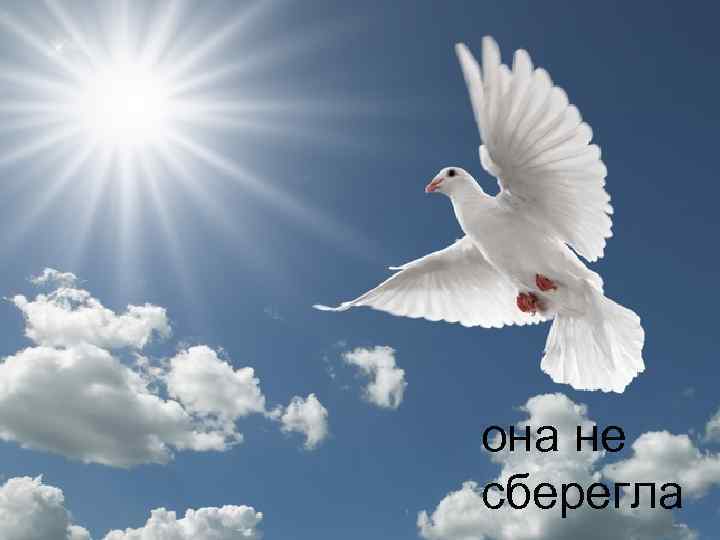 она не сберегла 
