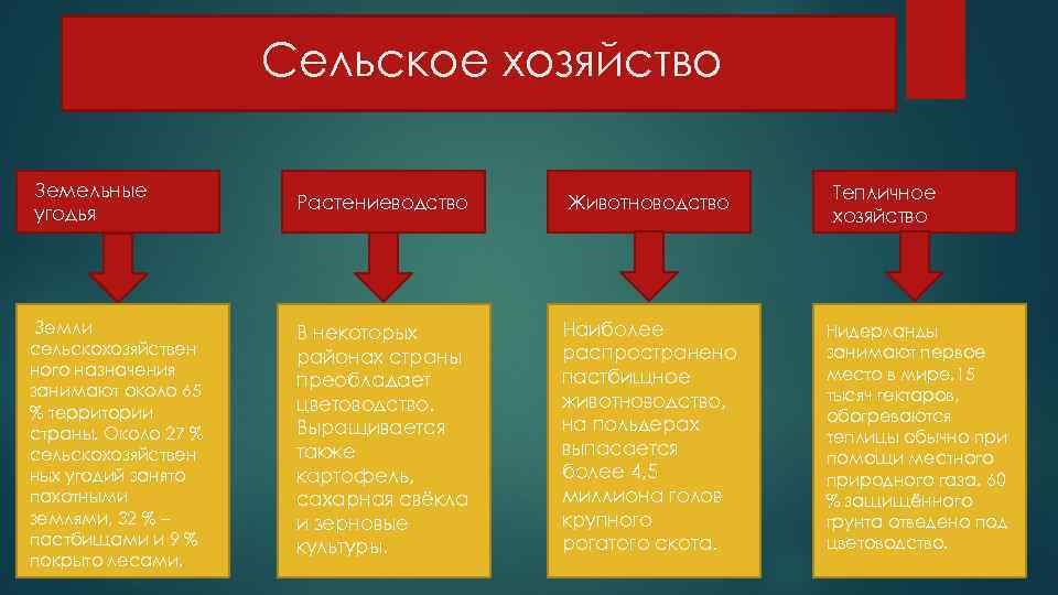 Сельское хозяйство Земельные угодья Растениеводство Животноводство Земли сельскохозяйствен ного назначения занимают около 65 %