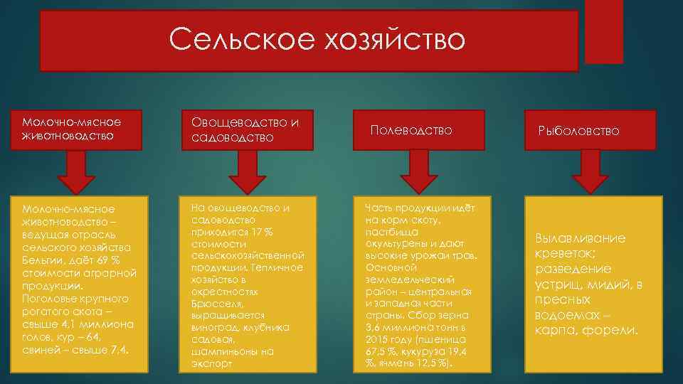 Сельское хозяйство Молочно-мясное животноводство Овощеводство и садоводство Молочно-мясное животноводство – ведущая отрасль сельского хозяйства