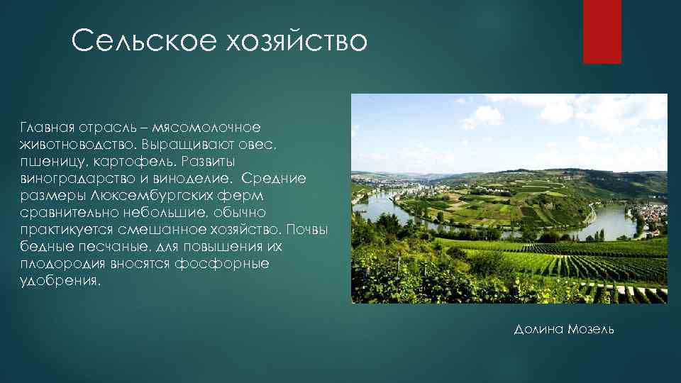 Сельское хозяйство Главная отрасль – мясомолочное животноводство. Выращивают овес, пшеницу, картофель. Развиты виноградарство и