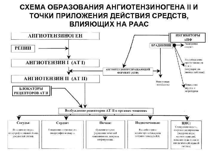 Рациональные схемы антигипертензивной терапии