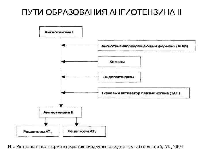 ПУТИ ОБРАЗОВАНИЯ АНГИОТЕНЗИНА II Из: Рациональная фармакотерапия сердечно-сосудистых заболеваний, М. , 2004 