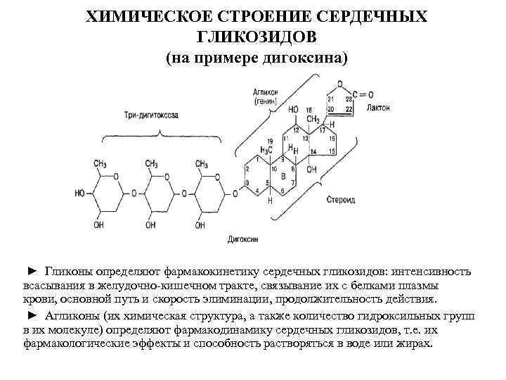 ХИМИЧЕСКОЕ СТРОЕНИЕ СЕРДЕЧНЫХ ГЛИКОЗИДОВ (на примере дигоксина) ► Гликоны определяют фармакокинетику сердечных гликозидов: интенсивность