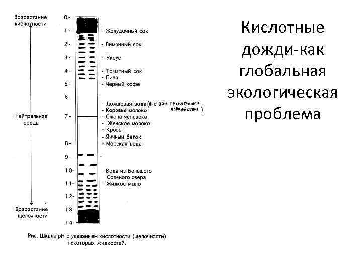 Кислотные дожди-как глобальная экологическая проблема 