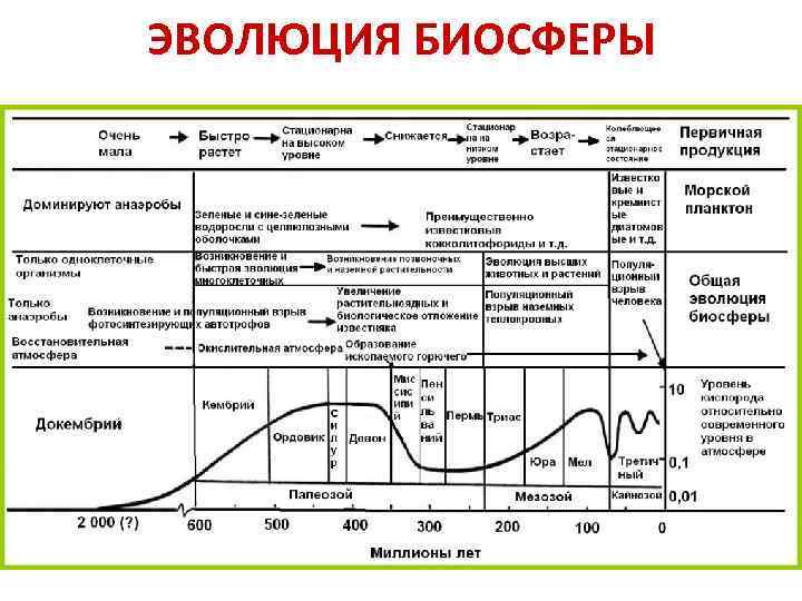 ЭВОЛЮЦИЯ БИОСФЕРЫ 