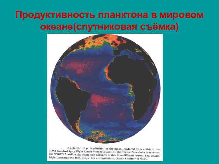 Продуктивность планктона в мировом океане(спутниковая съёмка) 