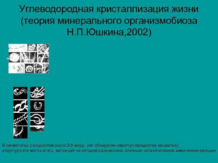 Углеводородная кристаллизация жизни (теория минерального организмобиоза Н. П. Юшкина, 2002) В пегматитах с возрастом