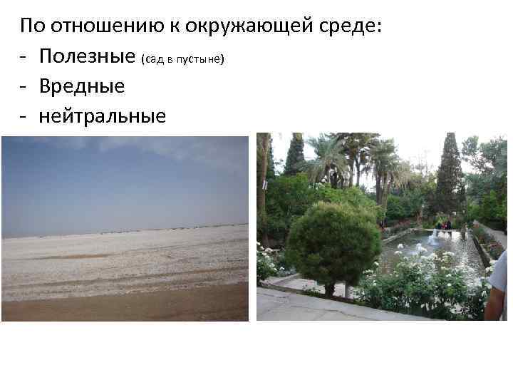 По отношению к окружающей среде: - Полезные (сад в пустыне) - Вредные - нейтральные