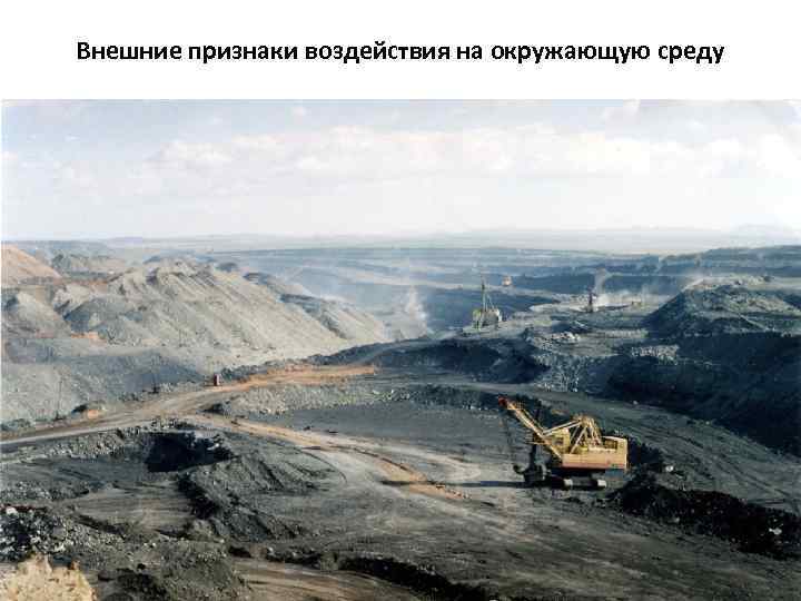 Внешние признаки воздействия на окружающую среду 