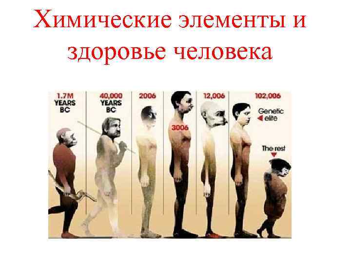 Химические элементы и здоровье человека 