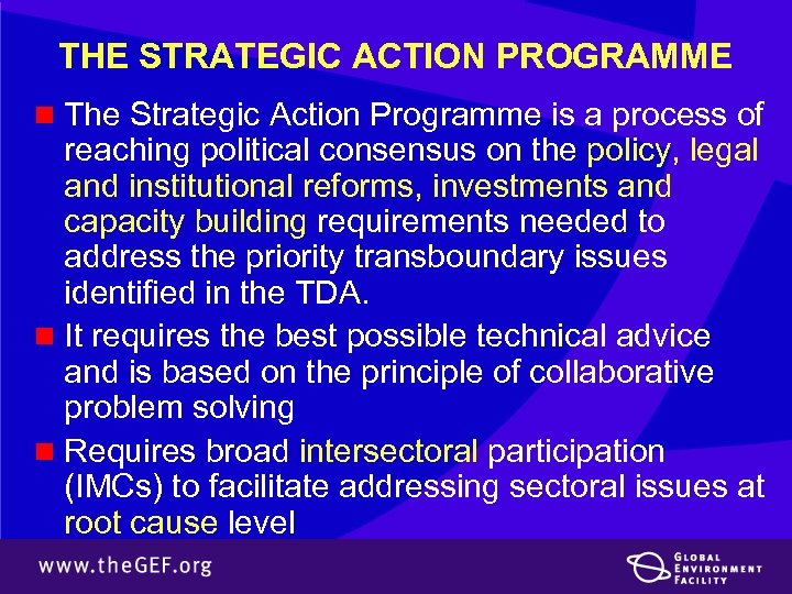 THE STRATEGIC ACTION PROGRAMME n The Strategic Action Programme is a process of reaching