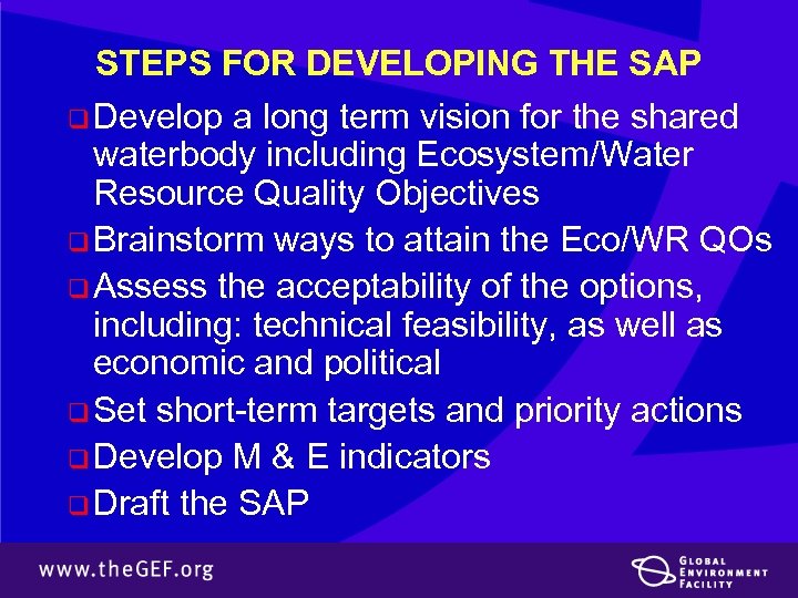 STEPS FOR DEVELOPING THE SAP q Develop a long term vision for the shared