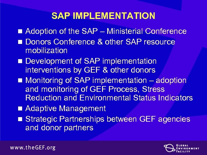 SAP IMPLEMENTATION n Adoption of the SAP – Ministerial Conference n Donors Conference &