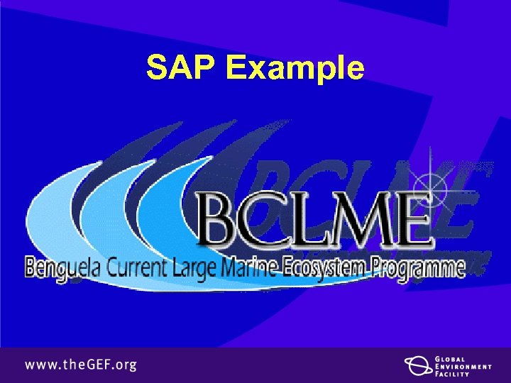 SAP Example 