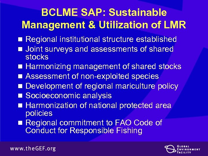 BCLME SAP: Sustainable Management & Utilization of LMR n Regional institutional structure established n