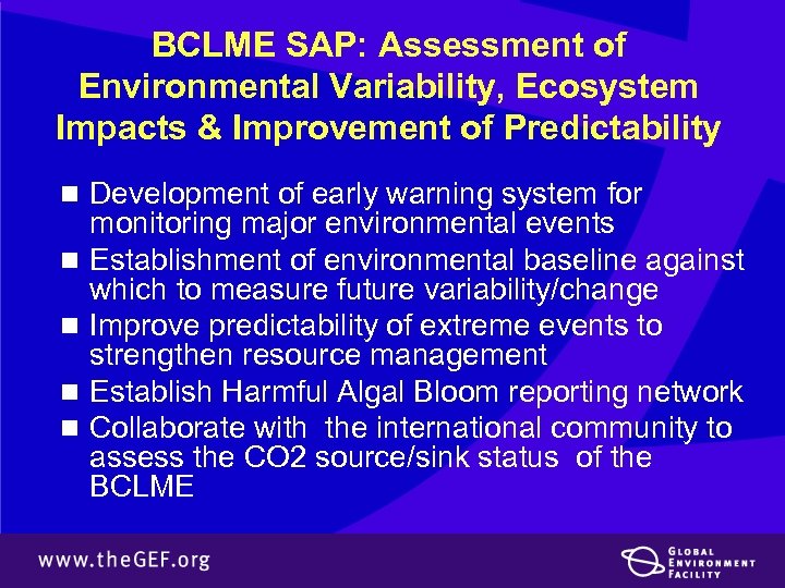 BCLME SAP: Assessment of Environmental Variability, Ecosystem Impacts & Improvement of Predictability n Development