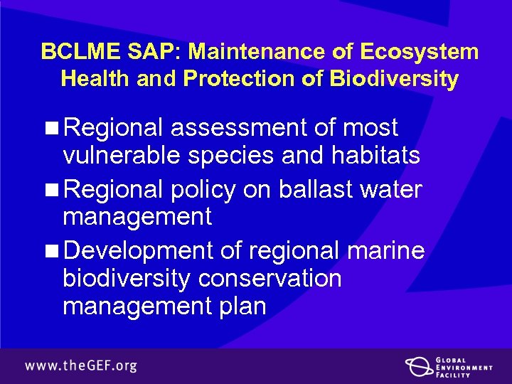 BCLME SAP: Maintenance of Ecosystem Health and Protection of Biodiversity n Regional assessment of