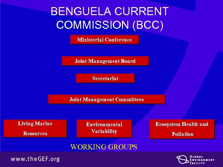 BENGUELA CURRENT COMMISSION (BCC) Ministerial Conference Joint Management Board Secretariat Joint Management Committees Living