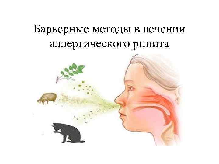 Барьерные методы в лечении аллергического ринита 