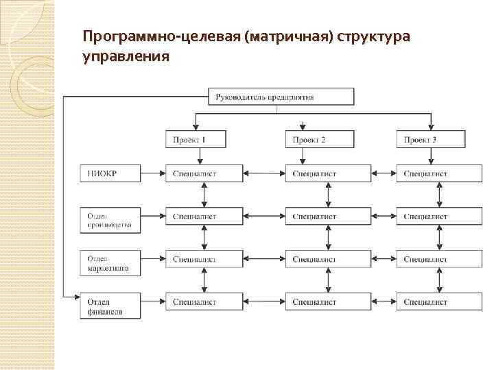 Программно-целевая (матричная) структура управления 