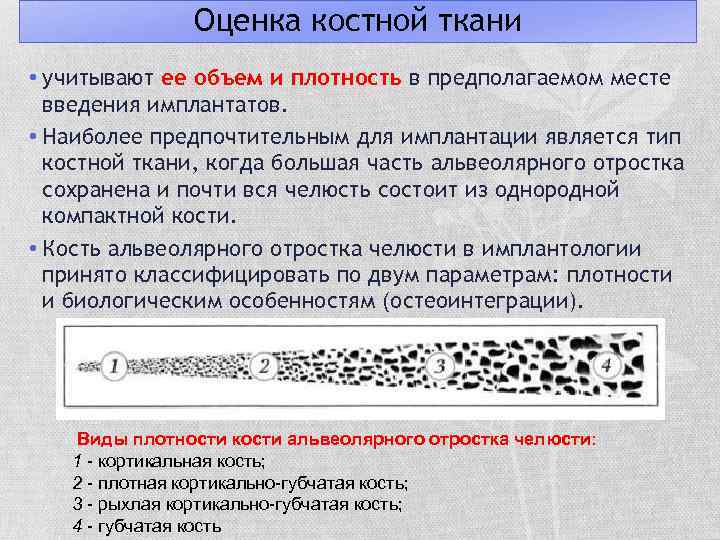 Оценка костной ткани • учитывают ее объем и плотность в предполагаемом месте введения имплантатов.