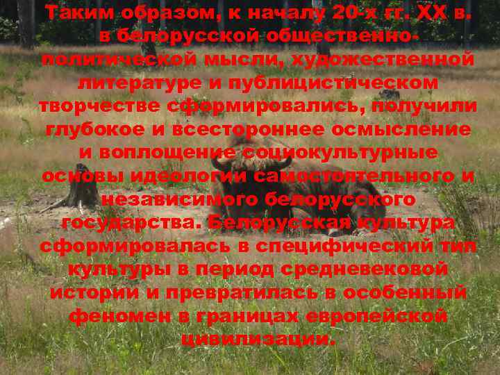 Таким образом, к началу 20 -х гг. XX в. в белорусской общественнополитической мысли, художественной