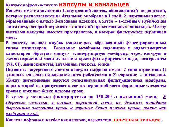 Каждый нефрон состоит из капсулы и канальцев. Капсула имеет два листка: 1. внутренний листок,
