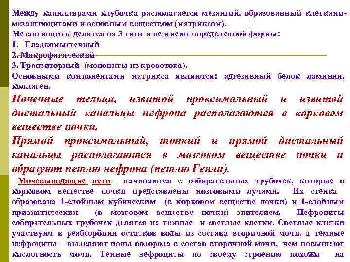 Между капиллярами клубочка располагается мезангий, образованный клеткамимезангиоцитами и основным веществом (матриксом). Мезангиоциты делятся на