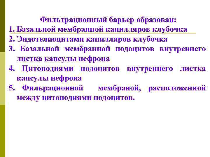 Фильтрационный барьер образован: 1. Базальной мембранной капилляров клубочка 2. Эндотелиоцитами капилляров клубочка 3. Базальной
