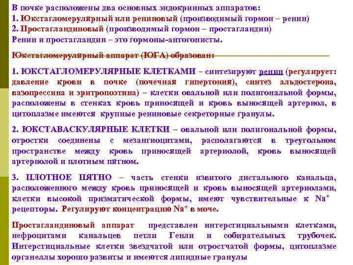 В почке расположены два основных эндокринных аппаратов: 1. Юкстагломерулярный или рениновый (производимый гормон –