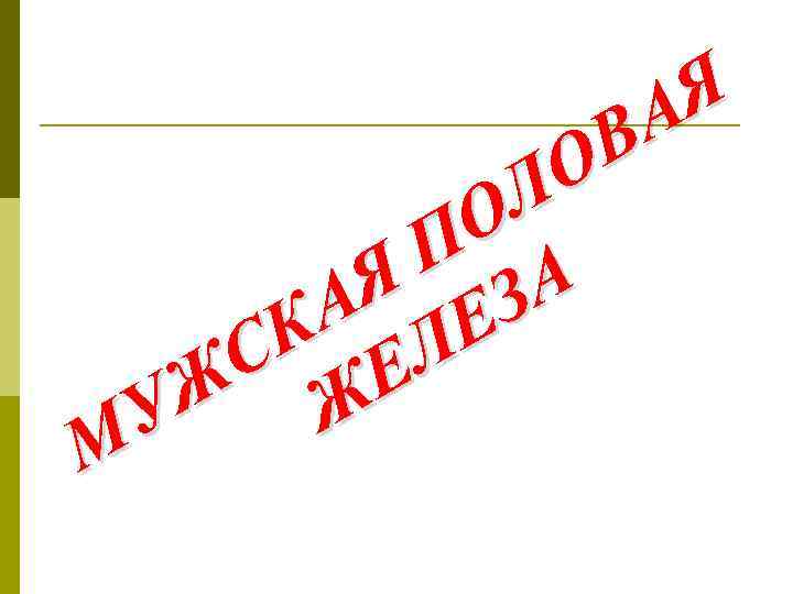 Я А В О Л О П А Я З А Е К Л