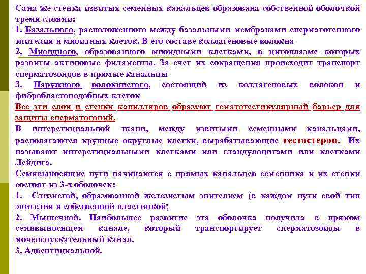 Сама же стенка извитых семенных канальцев образована собственной оболочкой тремя слоями: 1. Базального, расположенного