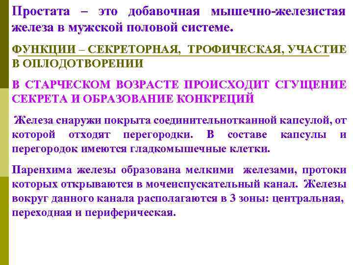 Простата – это добавочная мышечно-железистая железа в мужской половой системе. ФУНКЦИИ – СЕКРЕТОРНАЯ, ТРОФИЧЕСКАЯ,