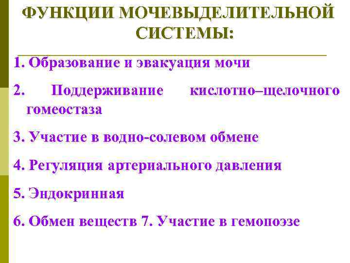 ФУНКЦИИ МОЧЕВЫДЕЛИТЕЛЬНОЙ СИСТЕМЫ: 1. Образование и эвакуация мочи 2. Поддерживание гомеостаза кислотно–щелочного 3. Участие