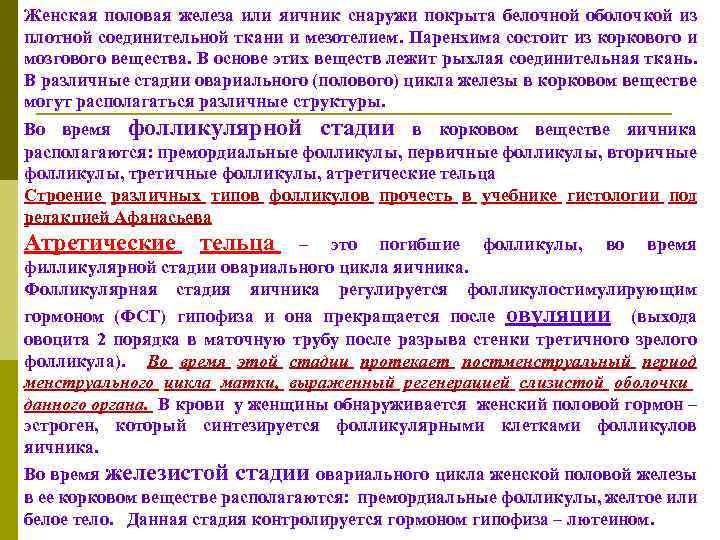 Женская половая железа или яичник снаружи покрыта белочной оболочкой из плотной соединительной ткани и