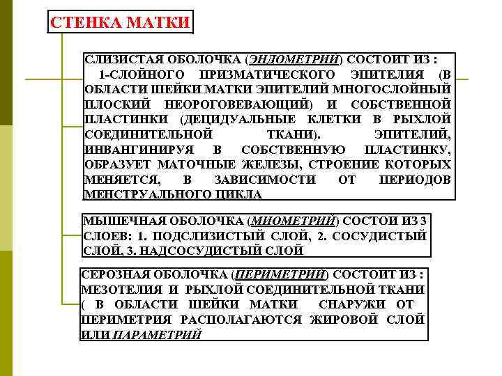 СТЕНКА МАТКИ СЛИЗИСТАЯ ОБОЛОЧКА (ЭНДОМЕТРИЙ) СОСТОИТ ИЗ : 1 -СЛОЙНОГО ПРИЗМАТИЧЕСКОГО ЭПИТЕЛИЯ (В ОБЛАСТИ