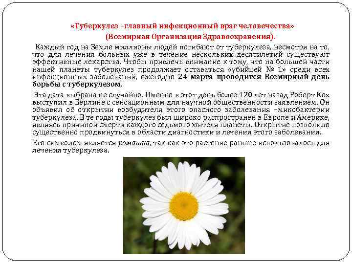  «Туберкулез –главный инфекционный враг человечества» (Всемирная Организация Здравоохранения). Каждый год на Земле миллионы