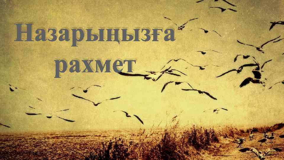 Назарыңызға рахмет 