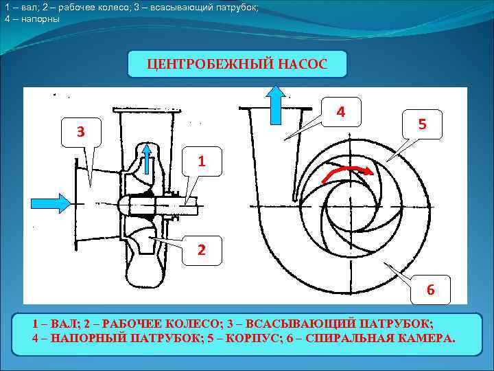 1 – вал; 2 – рабочее колесо; 3 – всасывающий патрубок; 4 – напорны