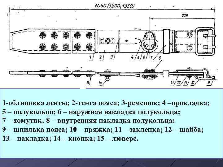 1 -облицовка ленты; 2 -тенга пояса; 3 -ремешок; 4 –прокладка; 5 – полукольцо; 6