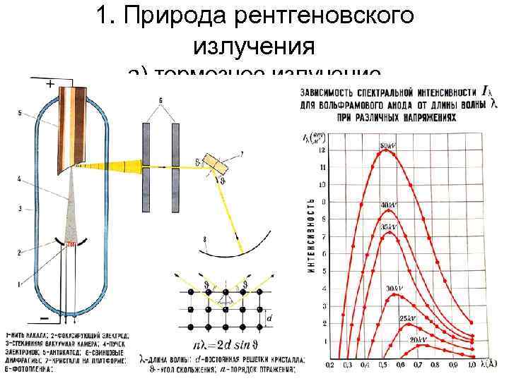 1. Природа рентгеновского излучения а) тормозное излучение 