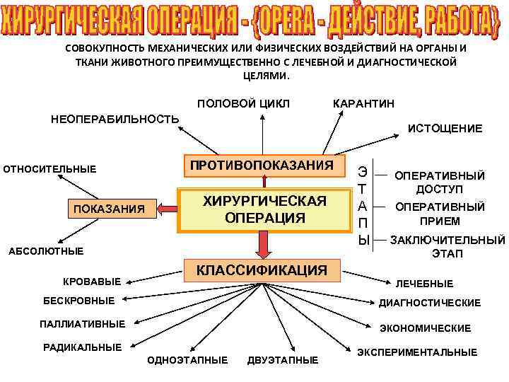 СОВОКУПНОСТЬ МЕХАНИЧЕСКИХ ИЛИ ФИЗИЧЕСКИХ ВОЗДЕЙСТВИЙ НА ОРГАНЫ И ТКАНИ ЖИВОТНОГО ПРЕИМУЩЕСТВЕННО С ЛЕЧЕБНОЙ И