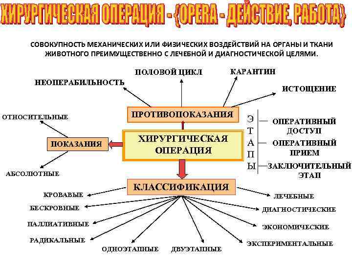 СОВОКУПНОСТЬ МЕХАНИЧЕСКИХ ИЛИ ФИЗИЧЕСКИХ ВОЗДЕЙСТВИЙ НА ОРГАНЫ И ТКАНИ ЖИВОТНОГО ПРЕИМУЩЕСТВЕННО С ЛЕЧЕБНОЙ И