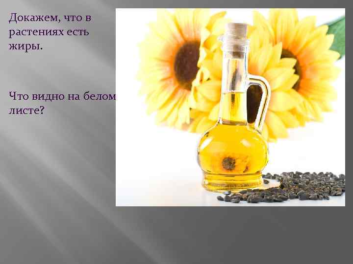 Докажем, что в растениях есть жиры. Что видно на белом листе? 