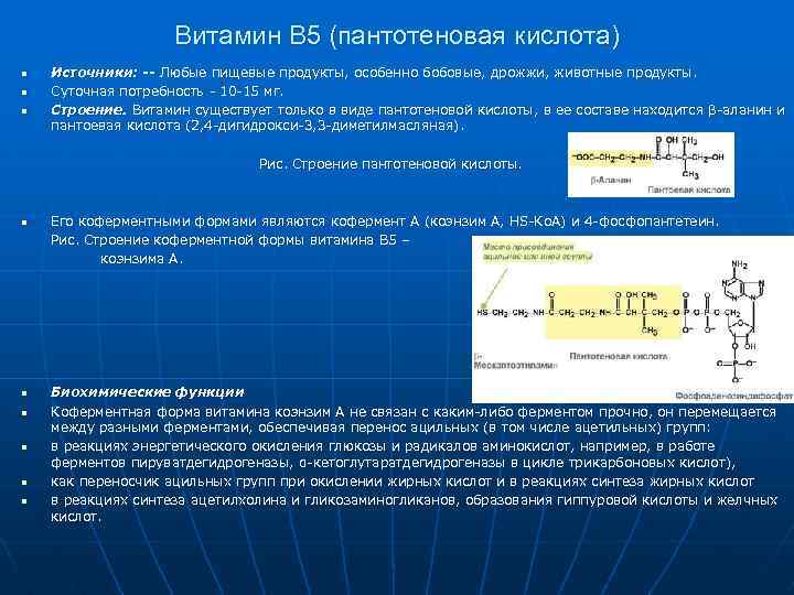 Роль витамина в3